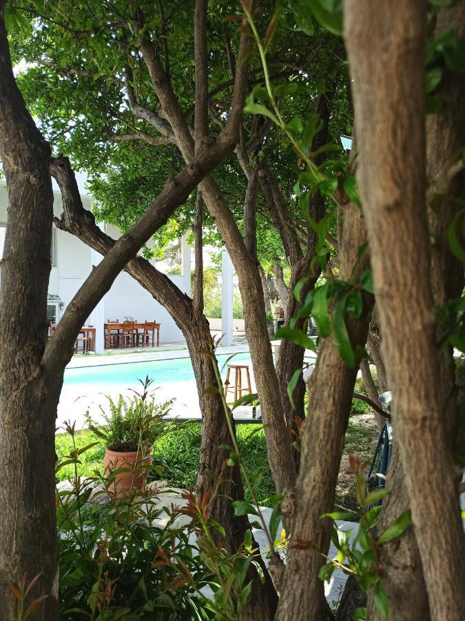 Plakias Riviera Apartment Luaran gambar